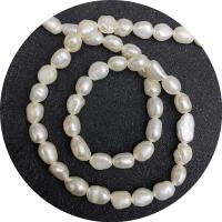 Potato Cultured Freshwater Pearl Beads, irregular, polished, DIY white Approx 14.96 