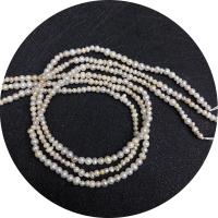 Keshi Cultured Freshwater Pearl Beads, irregular, polished, DIY, 3-4mm Approx 14.96 Inch 
