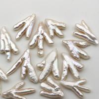 Keshi Cultured Freshwater Pearl Beads, DIY white, 18-27mm 