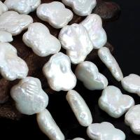 Keshi Cultured Freshwater Pearl Beads, Baroque, natural, DIY, white Approx 15.75 Inch 