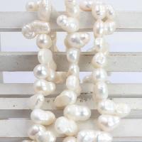 Keshi Cultured Freshwater Pearl Beads, natural, DIY, white Approx 14.96 Inch 