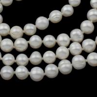 Perlas Redondas Freshwater, Perlas cultivadas de agua dulce, Esférico, Blanco, longitud:aproximado 48 Inch, Vendido por Sarta