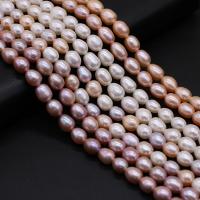 Rice Cultured Freshwater Pearl Beads, natural, DIY 7-8mm Approx 14.17 Inch 