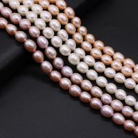 Rice Cultured Freshwater Pearl Beads, natural, DIY 8-9mm Approx 14.17 Inch 