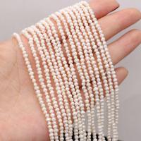 Potato Cultured Freshwater Pearl Beads, natural, DIY, white, 2-3mm Approx 14-15 Inch 