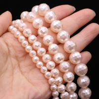 Natural Freshwater Shell Beads, Shell Pearl, Round, DIY & faceted Approx 14-15 Inch 