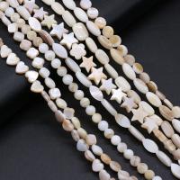 Barock kultivierten Süßwassersee Perlen, Muschel, DIY & verschiedene Größen vorhanden, Länge:ca. 14-15 ZollInch, verkauft von Strang