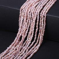 Potato Cultured Freshwater Pearl Beads, natural, DIY 2-3mm Approx 14-15 Inch 