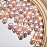 Natural Freshwater Pearl Loose Beads, DIY 9-10mm 