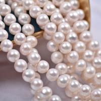 Round Cultured Freshwater Pearl Beads, natural, DIY, white, 11-12mm Approx 38-40 cm 