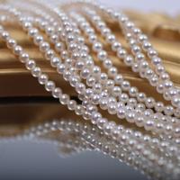 Round Cultured Freshwater Pearl Beads, natural, DIY, white, 2.5-3mm Approx 36-38 cm 
