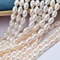 Rice Cultured Freshwater Pearl Beads, natural, DIY, white, 6.5-7mm Approx 38-40 cm 