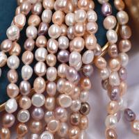 Bouton de culture des perles d'eau douce, perle d'eau douce cultivée, naturel, DIY, couleurs mélangées, 9-10mm Environ 36-38 cm, Vendu par brin