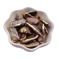 Kultivierten Süßwasser Perle Messing Anhänger, Natürliche kultivierte Süßwasserperlen, mit Messing, gemischte Farben, 12-20mm, verkauft von PC