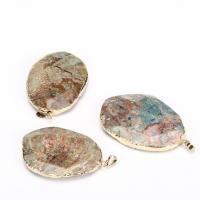 Gemstone Brass Pendants, Marine Fossil, with Brass, gold color plated, Unisex, mixed colors 