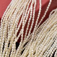 Rice Cultured Freshwater Pearl Beads, natural, DIY white Approx 35-37 cm 