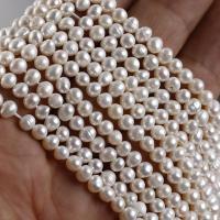 Potato Cultured Freshwater Pearl Beads, Oval, DIY, white, 4.3*5mm Approx 35 cm, Approx 
