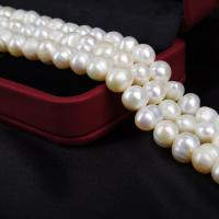 Potato Cultured Freshwater Pearl Beads, DIY, white, 7-8mm Approx 14-15 Inch 