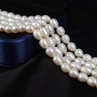 Rice Cultured Freshwater Pearl Beads, DIY, white, 5-5.5mm Approx 15 Inch 