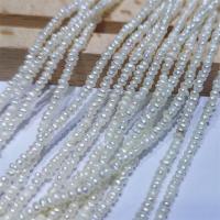 Bouton de culture des perles d'eau douce, perle d'eau douce cultivée, naturel, DIY, blanc, 2.5-3mm Environ 15 pouce, Vendu par brin