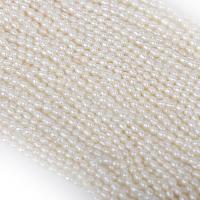 Rice Cultured Freshwater Pearl Beads, natural, DIY, white, 3-3.5mm Approx 15 Inch 