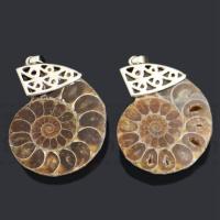 Gemstone Jewelry Pendant, Marine Fossil, with Zinc Alloy, Conch, platinum color plated, Unisex 