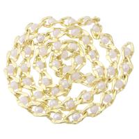 Cadena Bola de Metal, con Perlas plásticas, chapado en color dorado, Bricolaje, 10m/Grupo, Vendido por Grupo