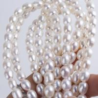 Rice Cultured Freshwater Pearl Beads, DIY Approx 14-15 Inch 