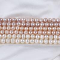 Round Cultured Freshwater Pearl Beads, DIY 10-11mm Approx 14-15 Inch 