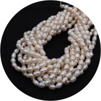 Keshi Cultured Freshwater Pearl Beads, irregular, polished, DIY white Approx 14.96 Inch 