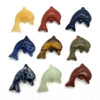 Joyas de piedras preciosas colgante, Delfín, Tallado, diferentes materiales para la opción, más colores para la opción, 43x30mm, Vendido por UD