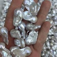 Perlas Freshwater sin Agujero, Perlas cultivadas de agua dulce, Keishi, Bricolaje, Blanco, 13-15mm, Vendido por UD