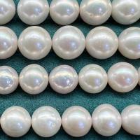 No Hole Cultured Freshwater Pearl Beads, Round, DIY white 