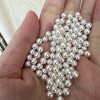 No Hole Cultured Freshwater Pearl Beads, Round, DIY, white, 4-5mm 