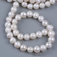 Bouton de culture des perles d'eau douce, perle d'eau douce cultivée, DIY, blanc, 7-8mm Environ 2mm Environ 13 pouce, Vendu par brin