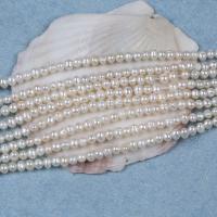 Baroque Cultured Freshwater Pearl Beads, DIY, white, 3-4mm Approx 14-15 Inch 