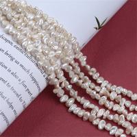 Baroque Cultured Freshwater Pearl Beads, irregular, DIY, white, 5-6mm Approx 14-15 Inch 
