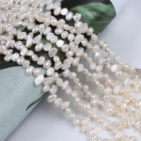Baroque Cultured Freshwater Pearl Beads, DIY, white, 5-6mm Approx 14-15 Inch 