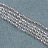 Rice Cultured Freshwater Pearl Beads, DIY, white, 2.5-3mm Approx 14-15 Inch 