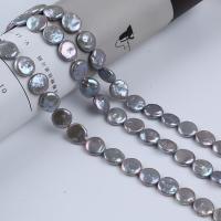 Button Cultured Freshwater Pearl Beads, DIY, grey, 14-14.5mm Approx 14-15 Inch 