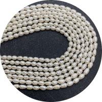 Rice Cultured Freshwater Pearl Beads, polished, DIY white Approx 14.96 