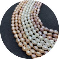 Keshi Cultured Freshwater Pearl Beads, polished, DIY Approx 14.96 Inch 