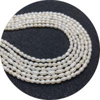 Rice Cultured Freshwater Pearl Beads, DIY, white, 3-4mm Approx 14.96 Inch 