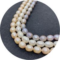 Rice Cultured Freshwater Pearl Beads, polished, DIY Approx 14.96 Inch 