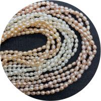 Rice Cultured Freshwater Pearl Beads, polished, DIY Approx 14.96 