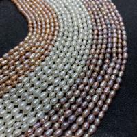 Rice Cultured Freshwater Pearl Beads, polished, DIY Approx 14.96 