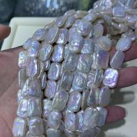 Barock kultivierten Süßwassersee Perlen, Natürliche kultivierte Süßwasserperlen, DIY, 12-18mm, Länge:ca. 15 ZollInch, verkauft von Strang