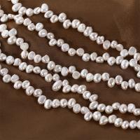 Barock kultivierten Süßwassersee Perlen, Natürliche kultivierte Süßwasserperlen, DIY, weiß, 6-7mm, Länge:ca. 15 ZollInch, verkauft von Strang