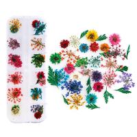 Polymer Clay Nagel Kunst, Getrocknete Blumen, mit Kunststoff Kasten, Blume, DIY, keine, 135x13mm, verkauft von Box