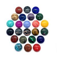 Кабошоны из драгоценных камней, Природный камень, Колпак, DIY & различные материалы для выбора & разный размер для выбора, Много цветов для выбора, продается PC